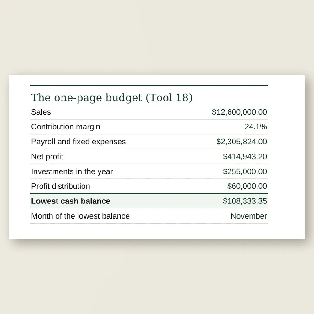 The Business Budget Handbook · Simulation with the example data