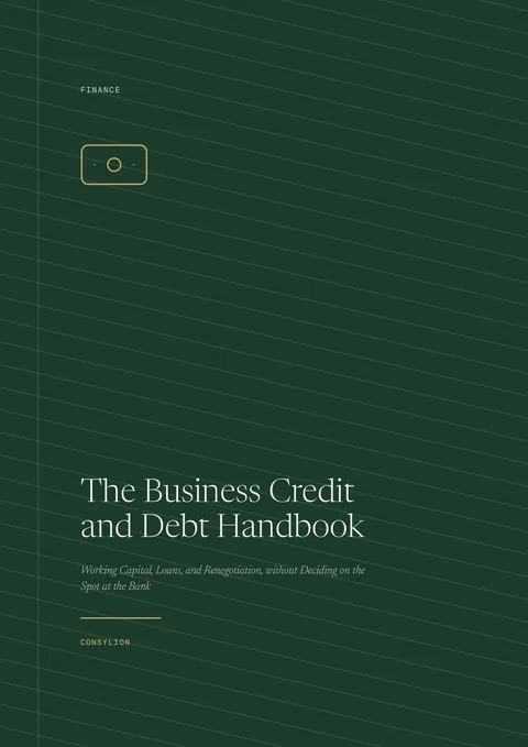 Capa: The Business Credit and Debt Handbook