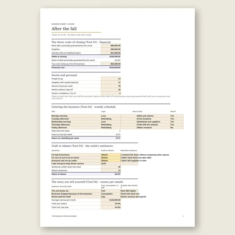 The Entrepreneur's Resilience Handbook · The spreadsheet on screen