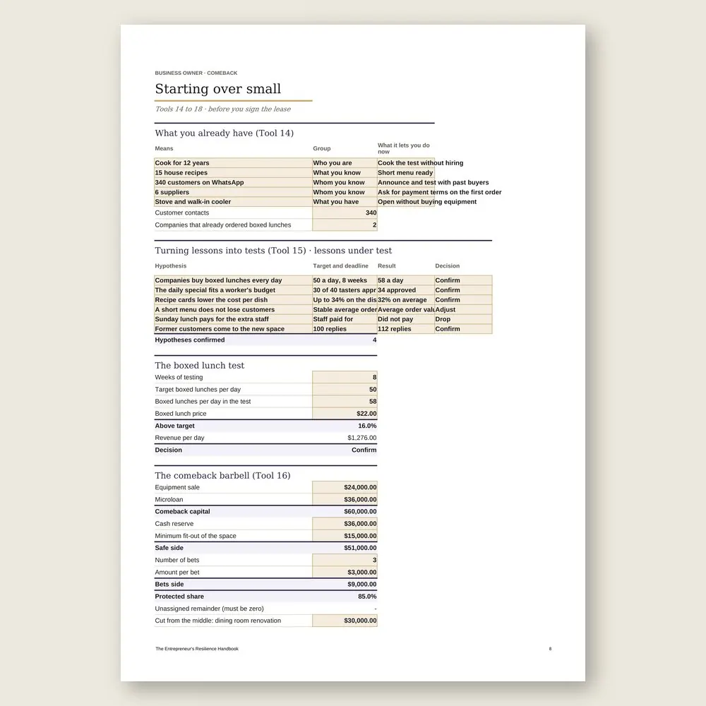 The Entrepreneur's Resilience Handbook · Simulation with the example data