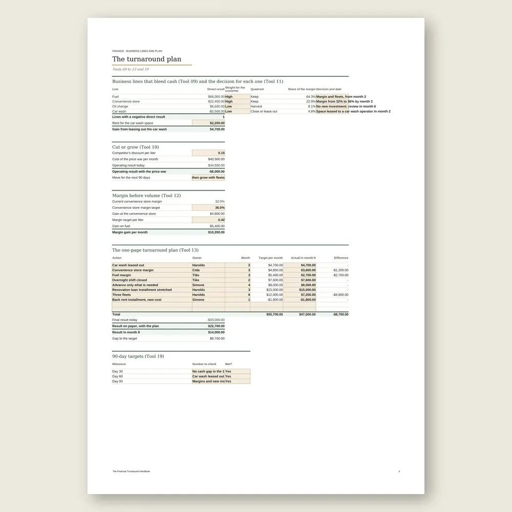 The Financial Turnaround Handbook · Simulation with the example data