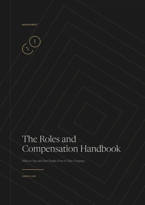Capa: The Roles and Compensation Handbook