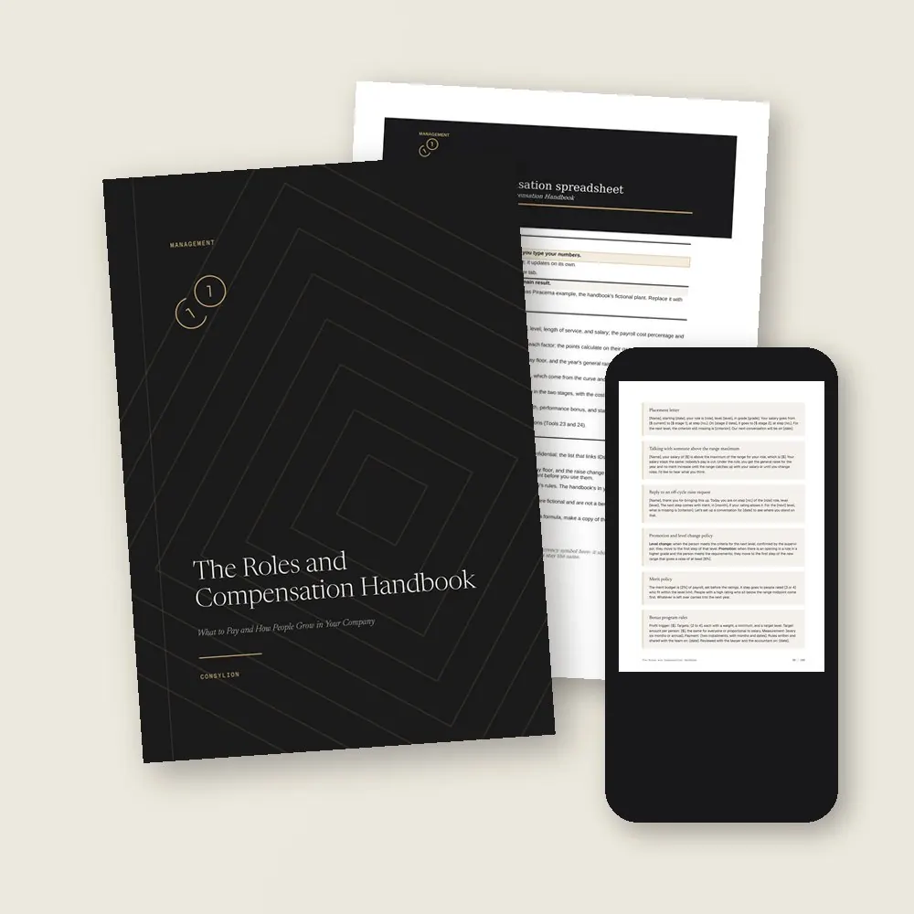 The Roles and Compensation Handbook · What lands in your library