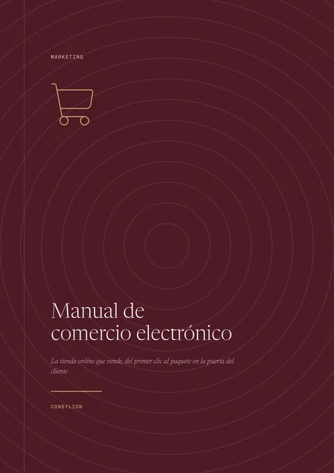 Capa: Manual de comercio electrónico
