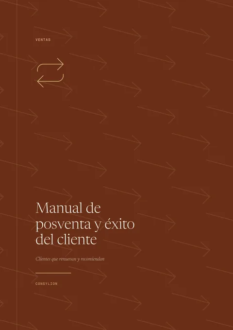Capa: Manual de posventa y éxito del cliente