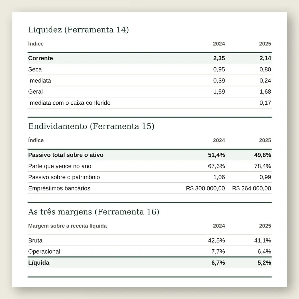 Close da aba Índices: liquidez, endividamento, as três margens e os prazos médios de dois anos, calculados com os números do contador.