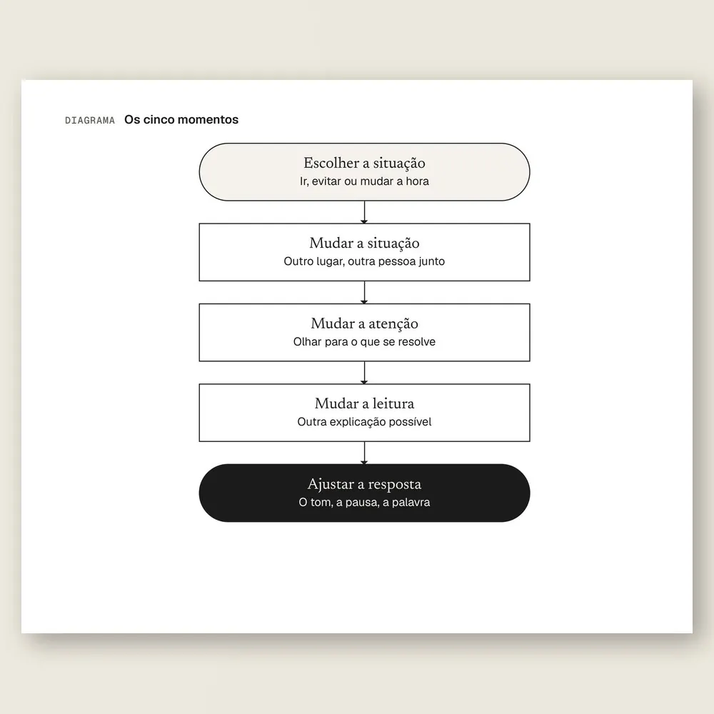 Close do diagrama dos cinco momentos de regular a emoção: escolher a situação, mudar a situação, mudar a atenção, mudar a leitura e ajustar a resposta.